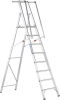 Plattformleiter ZAP
Safemaster S 8 Stufen
Plattformhöhe 2,11 m - More 1