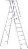 Plattformleiter ZAP
Safemaster S 9 Stufen
Plattformhöhe 2,34 m - More 1