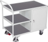 Tischwagen 250kg
B1125xT625xH1010mm
RAL 7035 - More 1