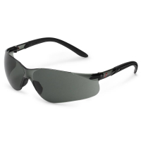 Schutzbrille 