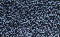 Schmutzfangmatte
EAZYCARE ECON blau
B60xT90 cm
