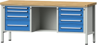 Anke Kastenwerkbank
B2000xT700xH900mm
RAL7035/5012 BMP: 50 mm