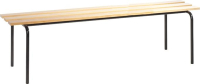 Sitzbank stapelbar
B1200xT460xH460 mm
RAL 7021/Buche
