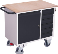 Werkstattwagen 400kg
B1110xT600xH960mm
RAL 7035/7016