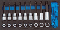 Werkzeugmodul CT1/3
 Schr.dr.eins. Torx Gedor
e