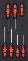 Werkzeugmodul 1/3
Schraubendreher Torx
FORMAT