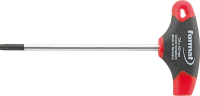 SCHRAUBENDR. TORX T-GRIFF
T 20X200MM         FORMAT