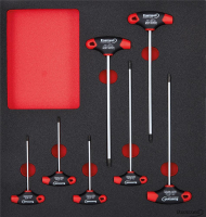 Werkzeugmodul 2/3
T-Griff Torx
FORMAT