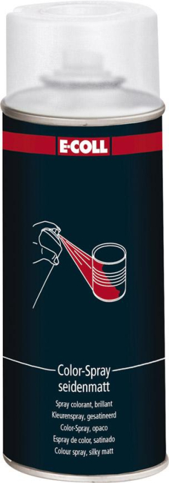 Color-Spray seidenmatt
400ml klarlack
E-COLL - Detail 1