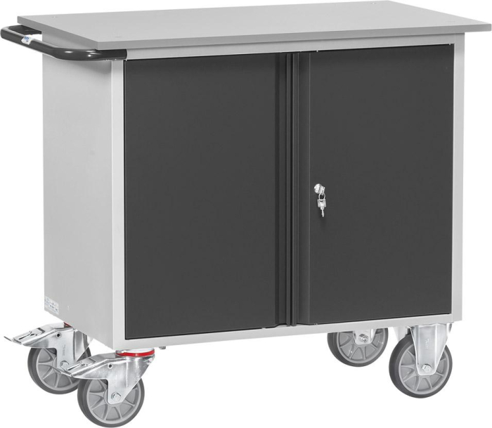 Werkstattwagen
B1080xT590xH915mm
RAL 7035/7016 - Detail 1