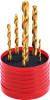 VHM-Spiralbohrer Set
ähnl. DIN338 TiN KLB
2,5/3,3/4,2/5,0/6,8/8,5mm
RUNDBOX-FORMAT - More 12