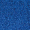 Schmutzfangmatte
EAZYCARE Color blau
B90xT150 cm - More 2