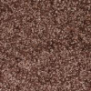 Schmutzfangmatte
EAZYCARE Color braun
B120xT180 cm - More 2