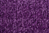 Schmutzfangmatte
EAZYCARE Color lila
B120xT180 cm - More 2