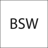 FORMAT HSS-Schneideisen BSW 5/16