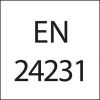 FORMAT HSS-Schneideisen G 1/8